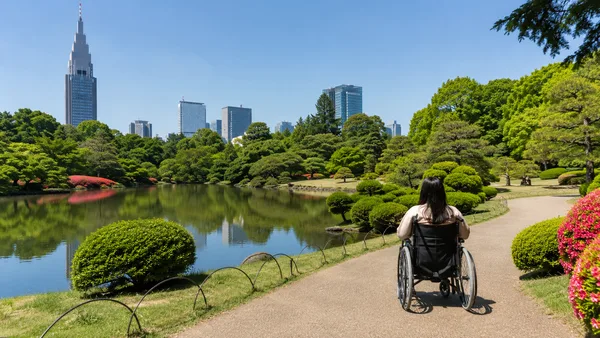 Wheelchair Access