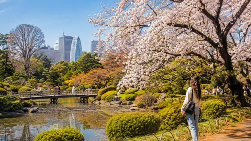 Wander Through Diverse Landscapes