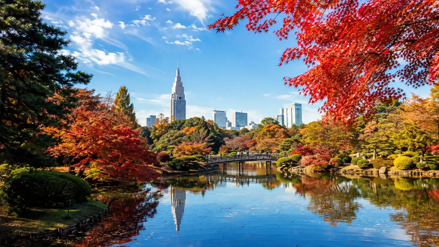 Shinjuku Gyoen Autumn Leaves & Fall Foliage