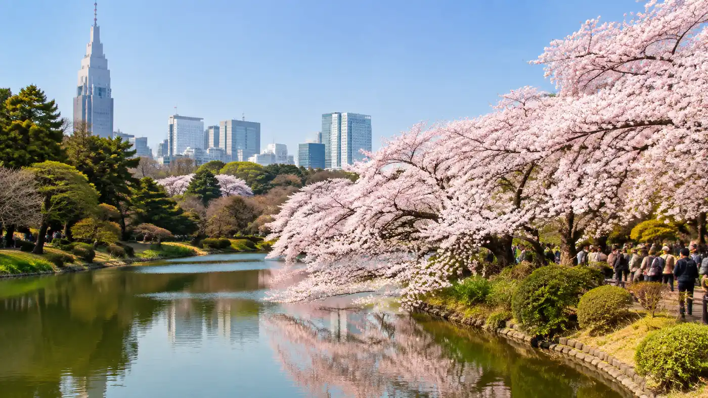 Shinjuku Gyoen Cherry Blossom Guide