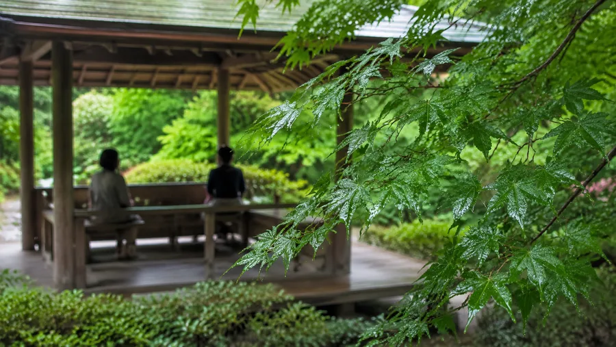 Shinjuku Gyoen and The Garden of Words Anime