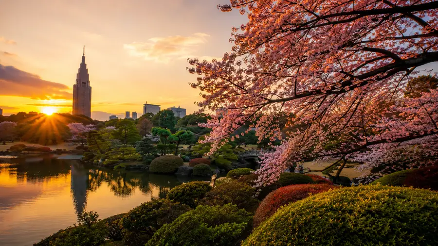Shinjuku Gyoen Opening Hours & Best Time to Visit