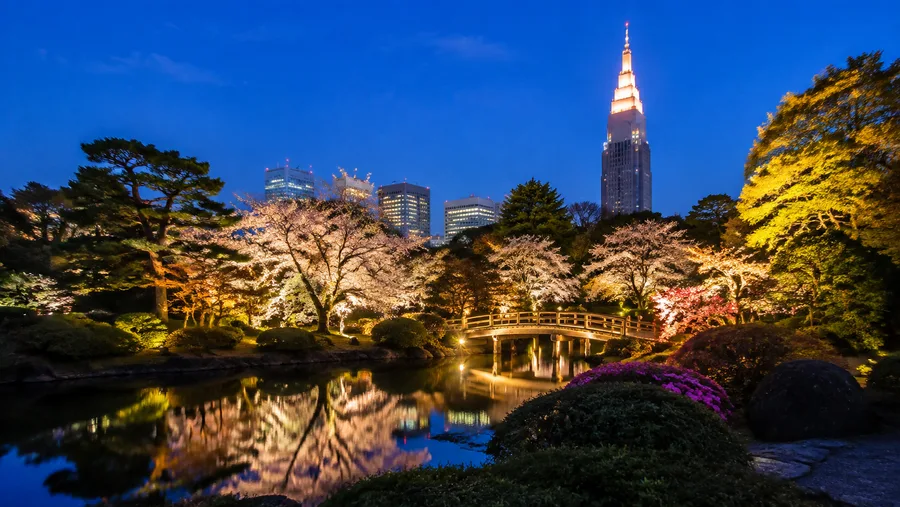 新宿御苑夜间灯光秀与活动