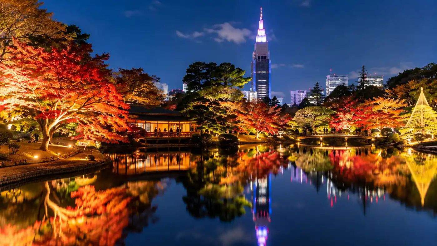 Shinjuku Gyoen Night Illuminations & Events