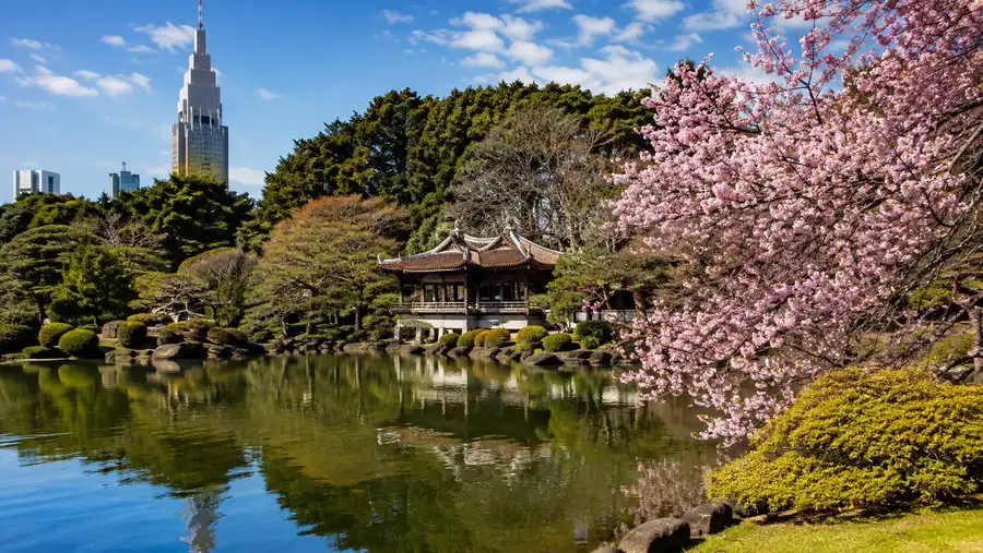Shinjuku Gyoen Tea House & Gardens