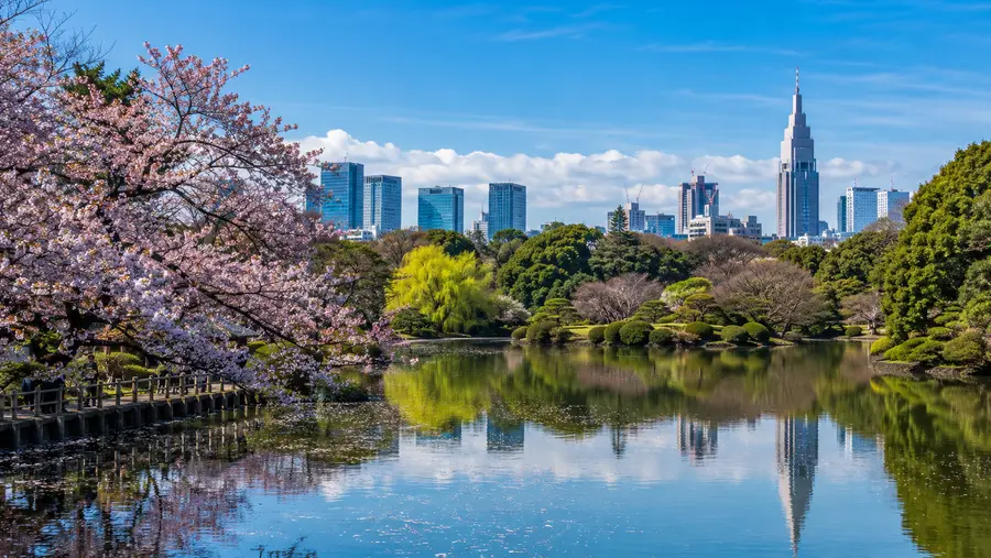 Le Shinjuku Gyoen à travers les saisons