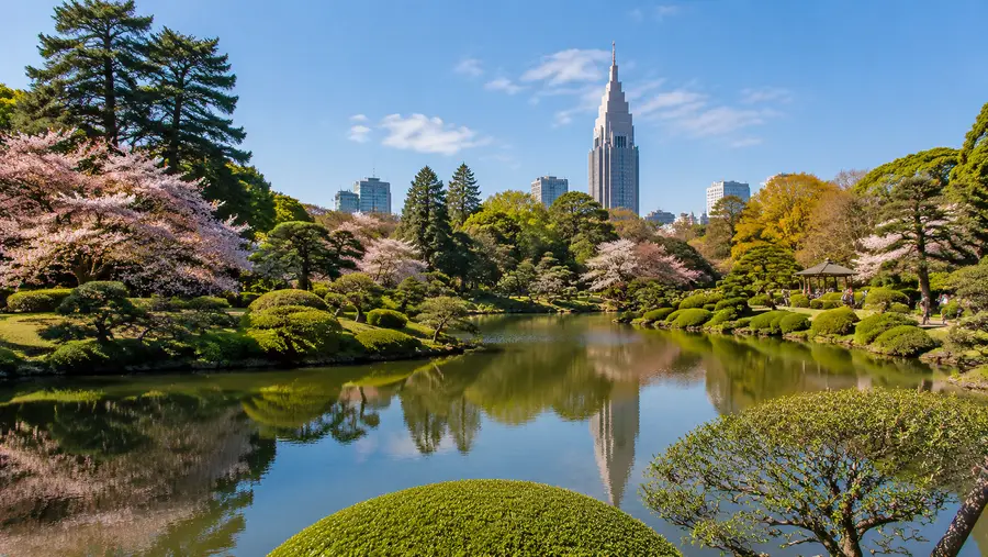 Shinjuku Gyoen Tickets & Admission Fees